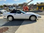 Thumbnail Photo 7 for 1991 Chevrolet Corvette
